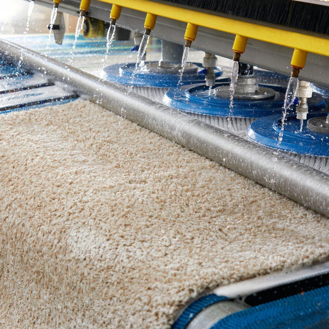 Shaggy Halı Temizliği